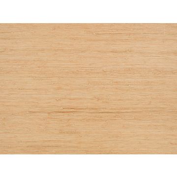 Kirkby Design - Solid - WK822/03 - Pink-Apricot