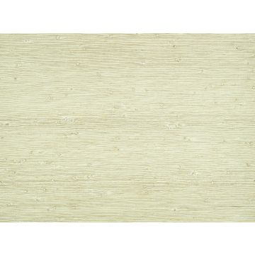 Kirkby Design - Solid - WK822/05 - Pistachio