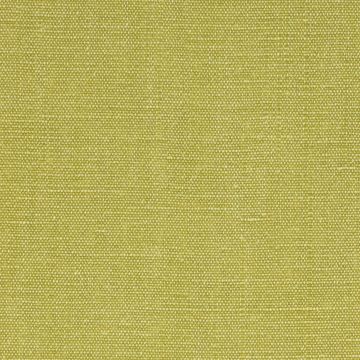 Larsen - Logan - Anis Green L8913-09