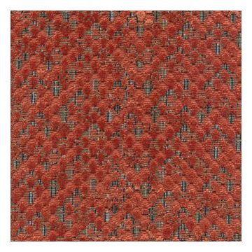 Élitis - Carapace - Bienvenue aux Galapagos LB 112 36