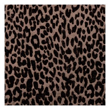 Élitis - Caravansérail - Esprit rebelle LB 728 77