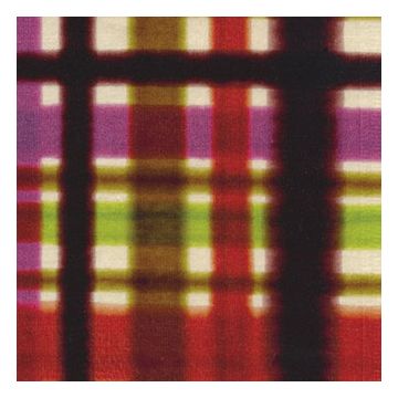 Élitis - Harold - Une gaîté contagieuse LB 733 35