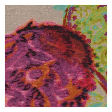 Élitis - Encantada - Café del mar LB 734 37