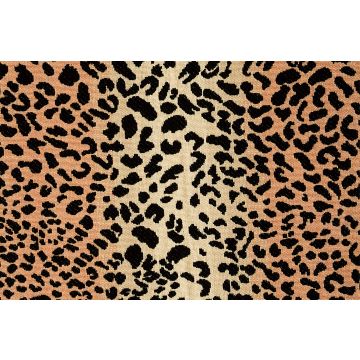 Le Manach - Guepard cambridge - L4156001