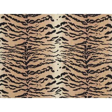 Le Manach - Tigre cambridge - L4431001