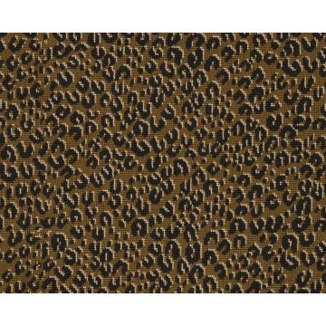 Le Manach - Serengeti - L4570001