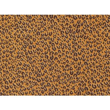 Le Manach - Serengeti - L4570002