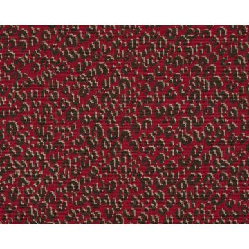 Le Manach - Serengeti - L4570006