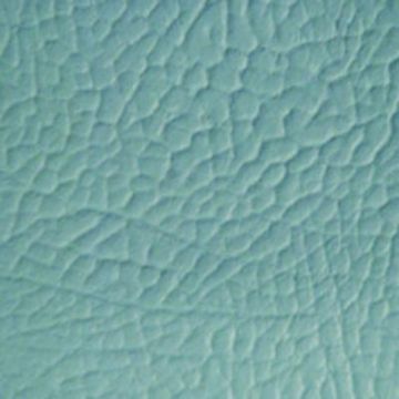 Lelievre - Jules 229-01 Lichen