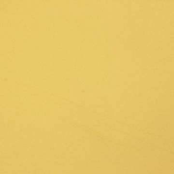 Lelievre - Saxo 231-07 Pepite