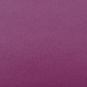 Lelievre - Solo 235-15 Prune