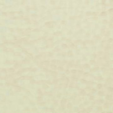 Lelievre - Maroquin 238-02 Coquille