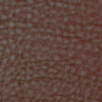 Lelievre - Maroquin 238-09 Buffle