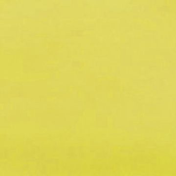 Lelievre - Miroir 239-15 Chartreuse