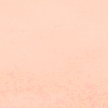 Lelievre - Miroir 239-24 Poudre