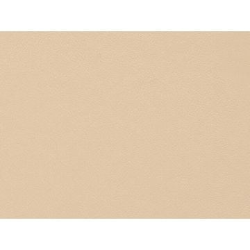 Lelievre - Velin 244-06 Peau