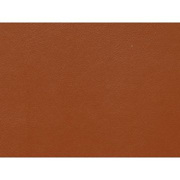 Lelievre - Velin 244-12 Caramel