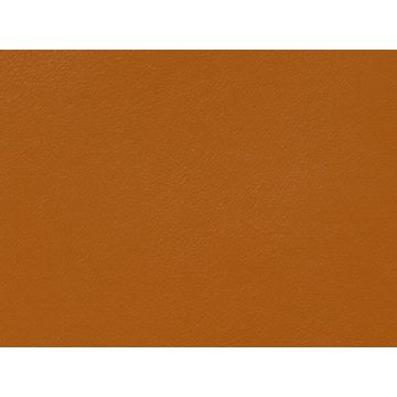 Lelievre - Velin 244-19 Rouille