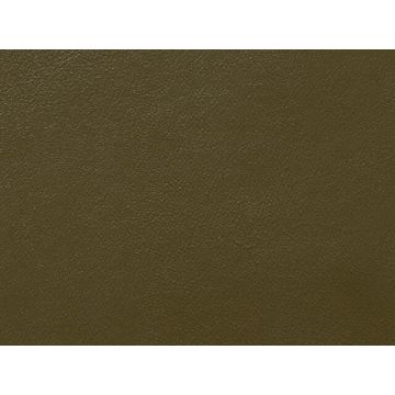 Lelievre - Velin 244-20 Kaki