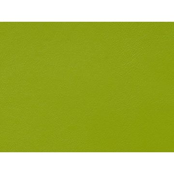 Lelievre - Velin 244-21 Olive