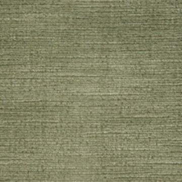 Lelievre - Gatinais 368-32 Lichen