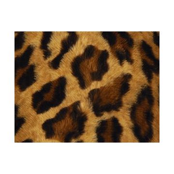 Lelievre - Ocelot 602-01 Nature