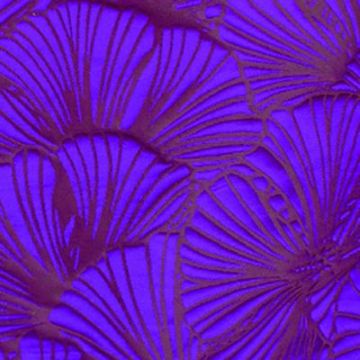 Lelievre - Gorgone 4210-07 Passiflore