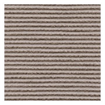 Élitis - Origines - Suivre la trace de l'éléphant LI 737 07