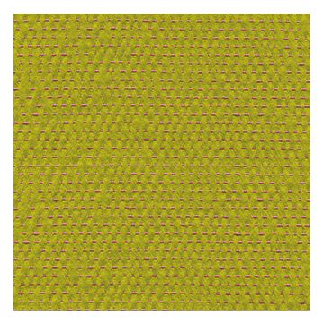 Élitis - Quadrille - Un nouveau territoire LR 255 64