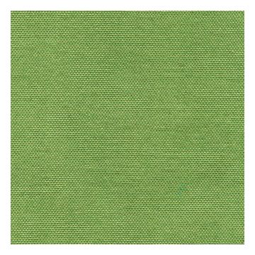 Élitis - Simple life - Le livre de la jungle LW 253 60