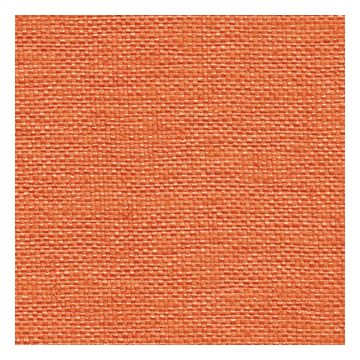 Élitis - Caravansérail - Un élixir de jeunesse LW 365 31