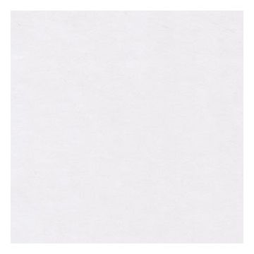 Élitis - Perfect leather - Diva sur la banquise LX 209 01