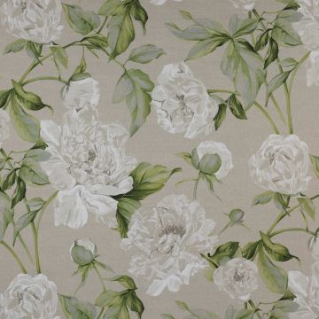 Manuel Canovas - Serena - Lune 1491/02