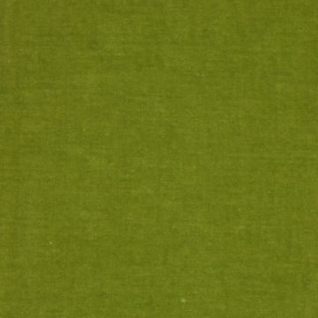 Manuel Canovas - Polidoro - Menthe 4234/30