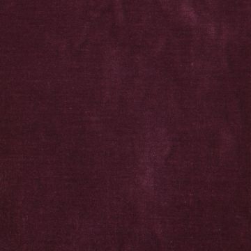 Manuel Canovas - Polidoro - Muscat 4234/73