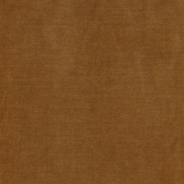 Manuel Canovas - Polidoro - Noisette 4234/94