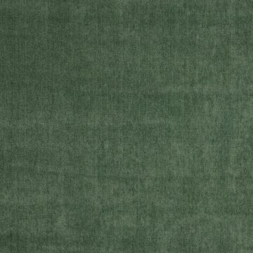 Manuel Canovas - Tivoli - Lichen 4486/49