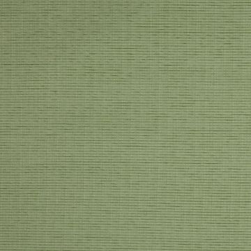 Manuel Canovas - Maya - Sauge 4525/01