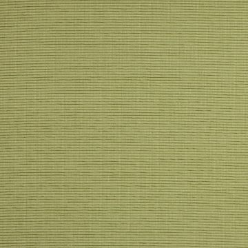 Manuel Canovas - Maya - Tilleul 4525/14