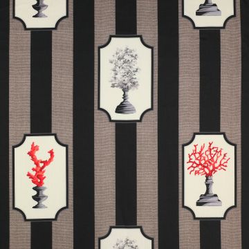 Manuel Canovas - Aristote - Corail 4809/01