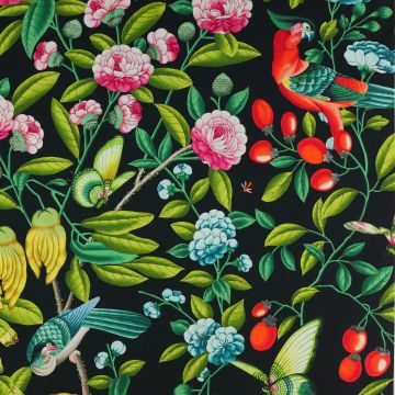 Manuel Canovas - Serendip - Nuit 4811/04