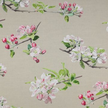 Manuel Canovas - La Pommeraie - Rose 4812/01