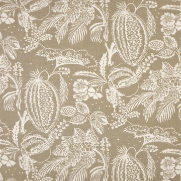 Manuel Canovas - Pali Lin - Lin 4829/01