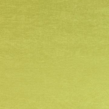 Manuel Canovas - Casa - Absinthe 4832/12