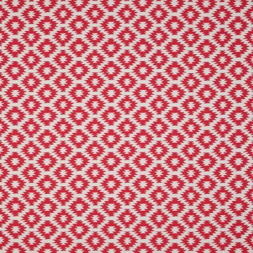 Manuel Canovas - Texas - Cardinal 4838/05