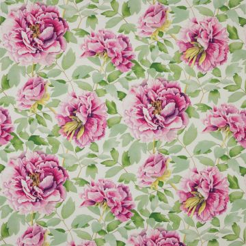 Manuel Canovas - Mona - Rose 4844/01