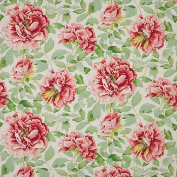 Manuel Canovas - Mona - Corail 4844/02