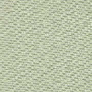 Manuel Canovas - Lipari - Anis 4890/05