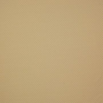 Manuel Canovas - Amalfi - Camel 4891/01