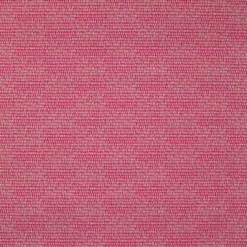 Manuel Canovas - Lea - Pivoine 4893/07